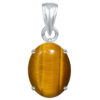 Ptm Sterling Silver Tiger Eye 3.25 Ratti to 10.25 Ratti or 3 Carat to 9.5 Carat Natural Certified Astrological Gemstone 925 bis Hallmark pendant for Men & Women -vslp2