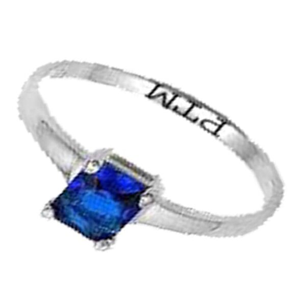 PTM Natural Blue Sapphire/Neelam 3.25 Ratti to 10.25 Ratti or 3 Carat to 9.5 Carat Astrological Certified Gemstone/Square Shape Sterling Silver/bis Hallmark Adjustable Ring for Men & Women